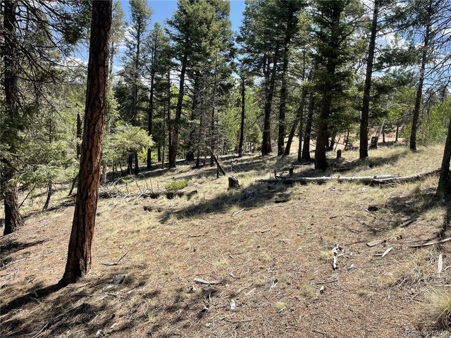 971 Spring Valley Lane, Florissant, CO 80816