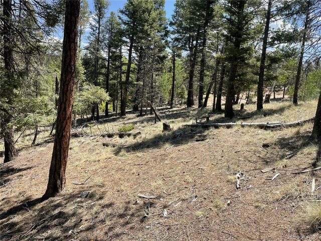 971 Spring Valley Lane, Florissant, CO 80816