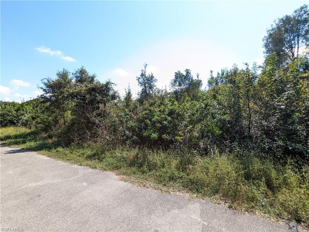 2703 35th ST SW, LEHIGH ACRES, FL 33976 — photo 4