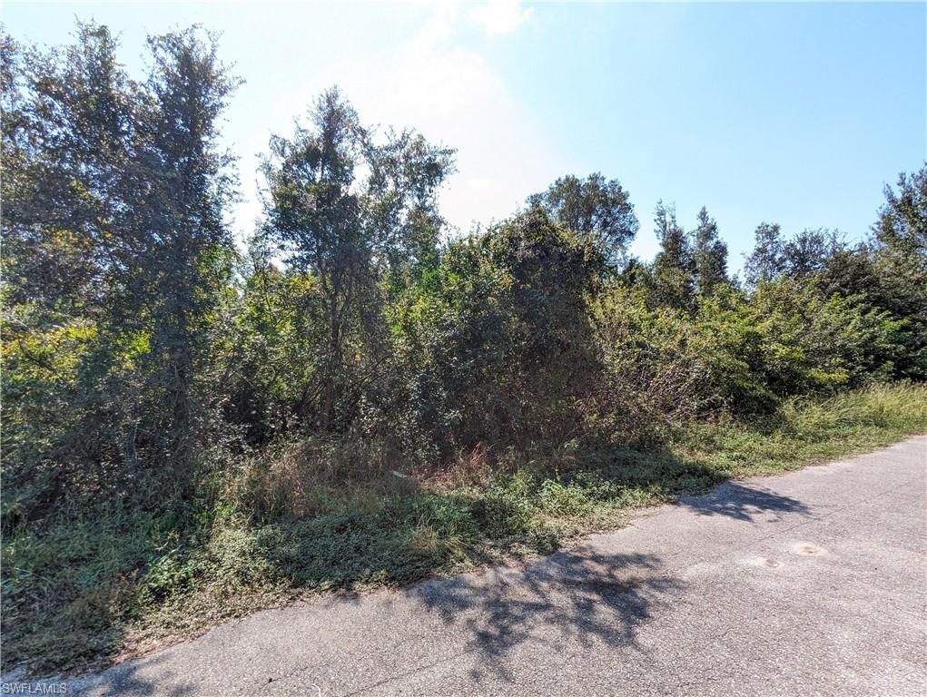 2703 35th ST SW, LEHIGH ACRES, FL 33976 — photo 5