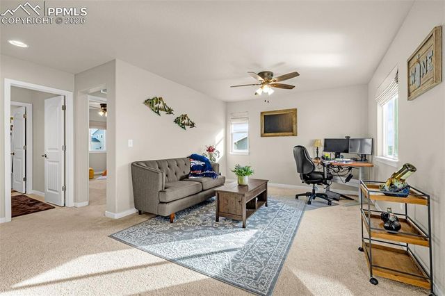 9931 Antelope Ravine Drive, Colorado Springs, CO 80908