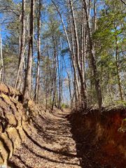 00 Landrum Creek Road, Marietta, SC 29661