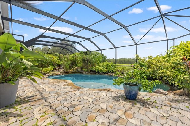 19304 YELLOW CLOVER DRIVE, Tampa, FL 33647