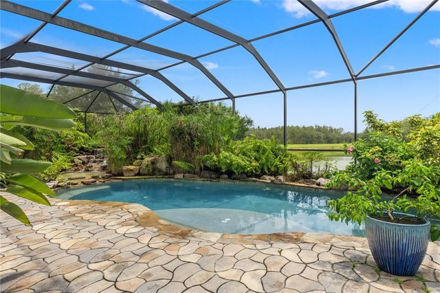 19304 YELLOW CLOVER DRIVE, Tampa, FL 33647