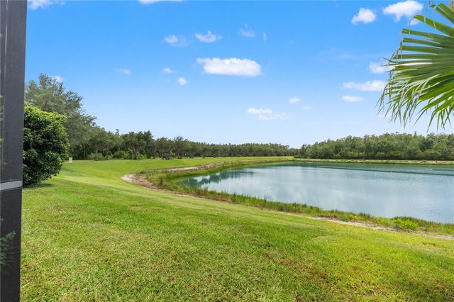 19304 YELLOW CLOVER DRIVE, Tampa, FL 33647