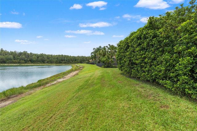 19304 YELLOW CLOVER DRIVE, Tampa, FL 33647