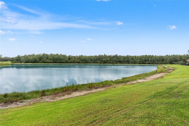 19304 YELLOW CLOVER DRIVE, Tampa, FL 33647