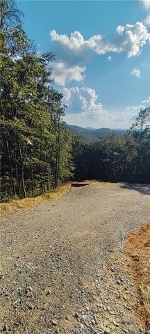 560 Dream View Drive, Ellijay, GA 30536
