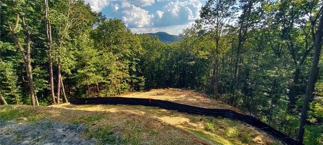 560 Dream View Drive, Ellijay, GA 30536