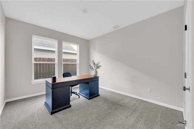 13704 Belle Court, Mcallen, TX 78504