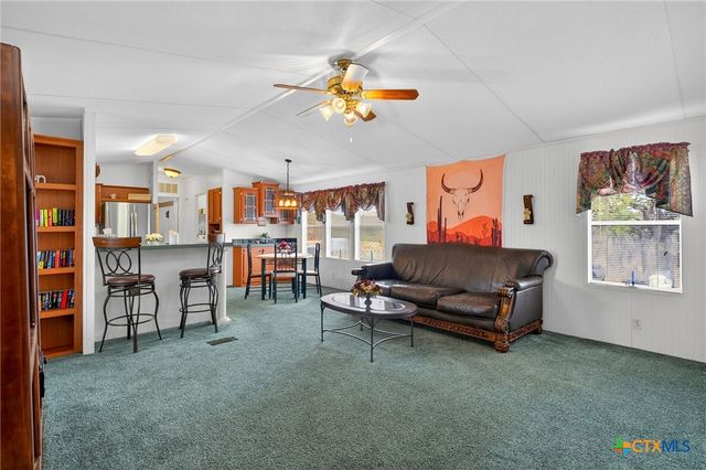 143 Bluff View Drive, Spring Branch, TX 78070