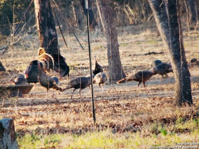 960 Cr 439, Stockdale, TX 78160