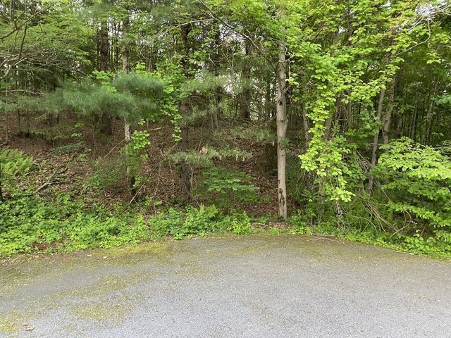 156 Brigham Hill Rd, Grafton, MA 01536