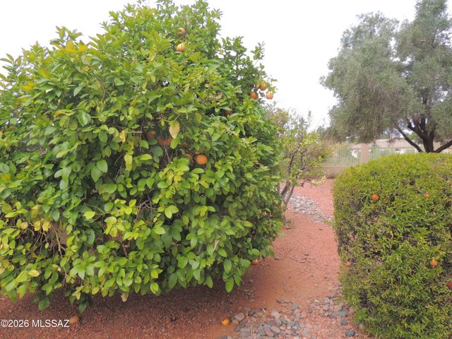 12981 N Woodburne Avenue, Oro Valley, AZ 85755