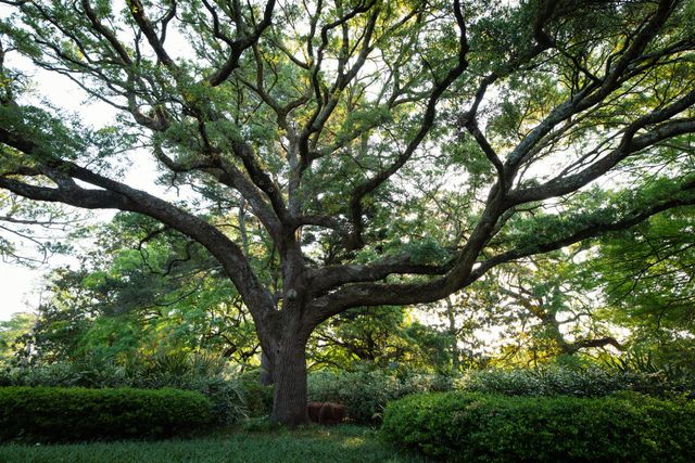 1299 Old Towne Road, Charleston, SC 29407