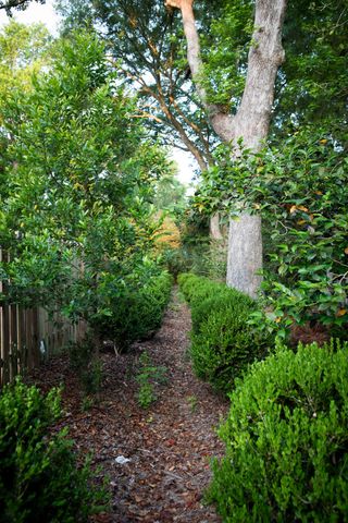 1299 Old Towne Road, Charleston, SC 29407