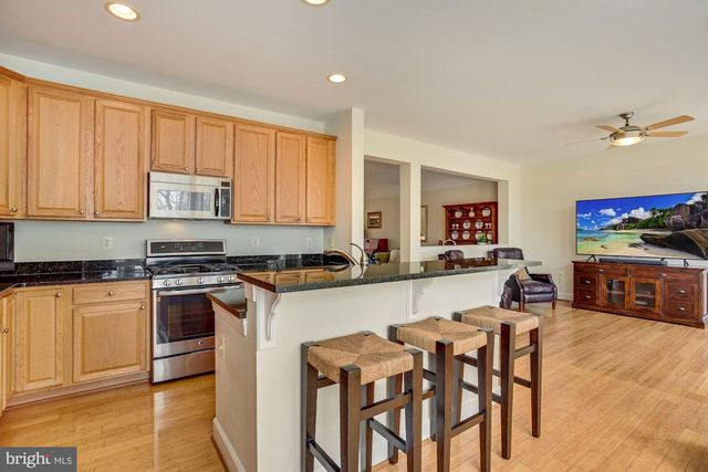 18488 LANIER ISLAND SQ, Leesburg, VA 20176