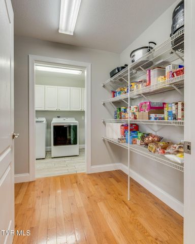 140 Willow Ridge Drive, Chuckey, TN 37641