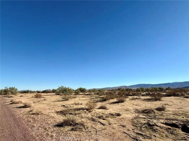 32467 Lakeview, Newberry Springs, CA 92365