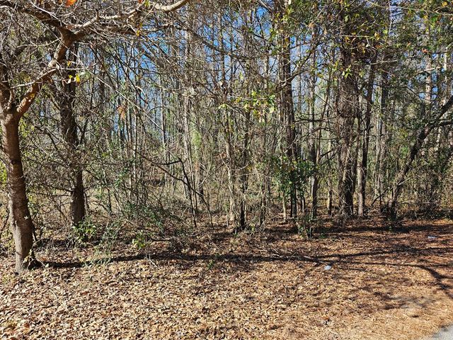 2890 Bend K Drive, Dalzell, SC 29040