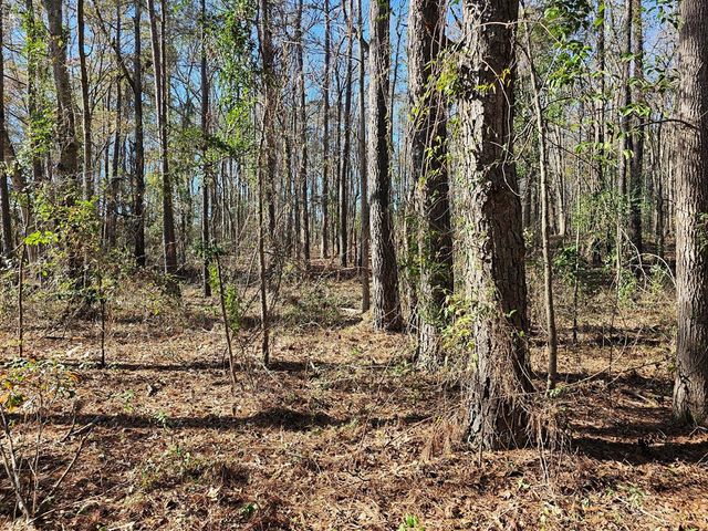 2890 Bend K Drive, Dalzell, SC 29040