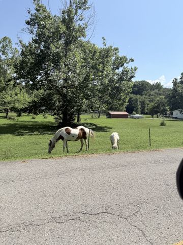 4417 Jackson Hollow Rd, Franklin, TN 37064