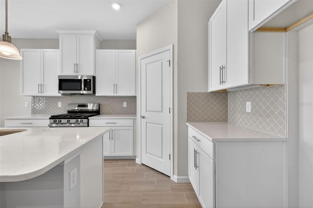 367 HAMMOCKS OAK BOULEVARD, Lady Lake, FL 32159