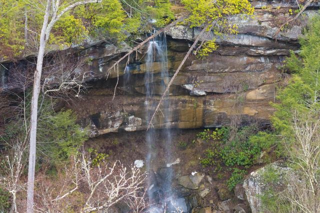 1051 State Hwy 746, Wellington, KY 40387