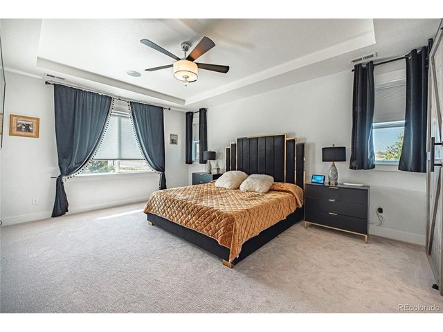 20602 Northern Pine Ave, Parker, CO 80134