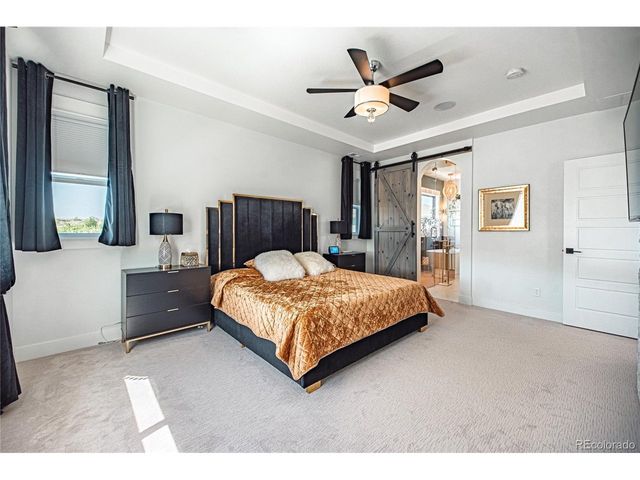 20602 Northern Pine Ave, Parker, CO 80134