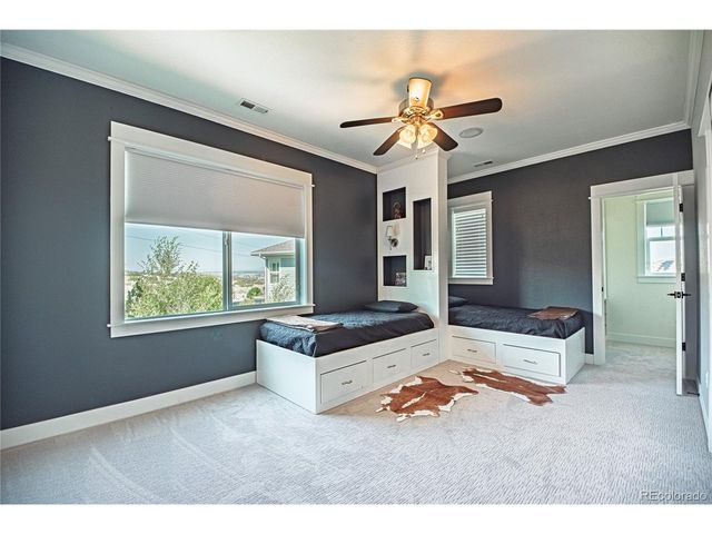 20602 Northern Pine Ave, Parker, CO 80134