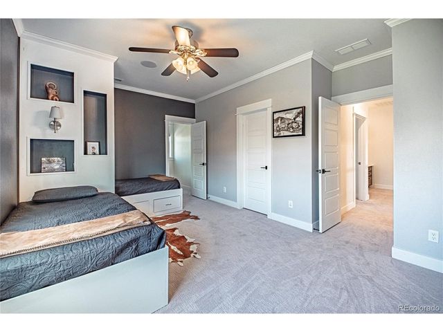 20602 Northern Pine Ave, Parker, CO 80134