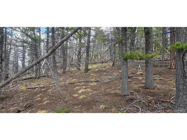 2732 Grojean Dr, Fort Garland, CO 81133