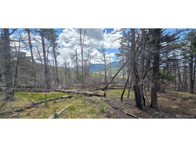 2732 Grojean Dr, Fort Garland, CO 81133