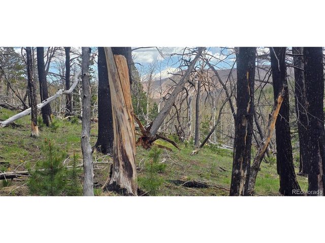 2732 Grojean Dr, Fort Garland, CO 81133