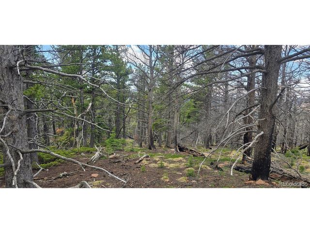 2732 Grojean Dr, Fort Garland, CO 81133