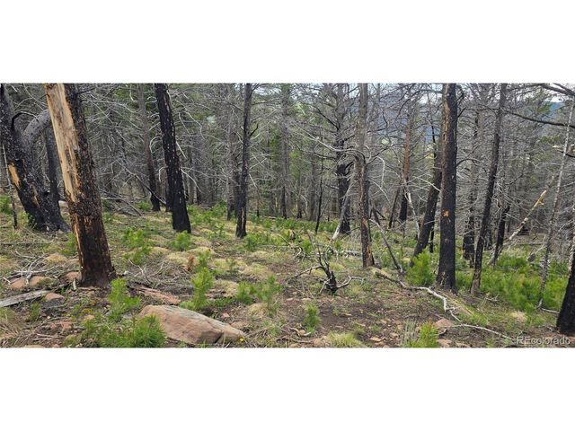 2732 Grojean Dr, Fort Garland, CO 81133