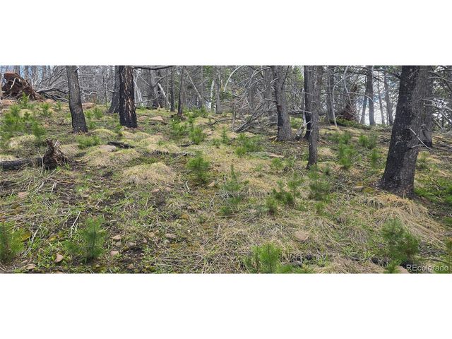 2732 Grojean Dr, Fort Garland, CO 81133