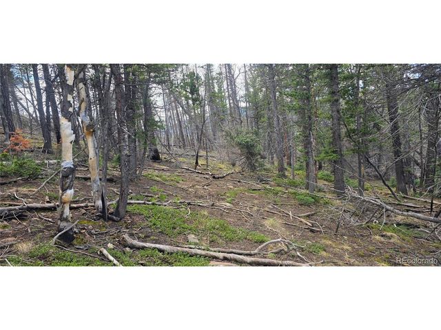 2732 Grojean Dr, Fort Garland, CO 81133