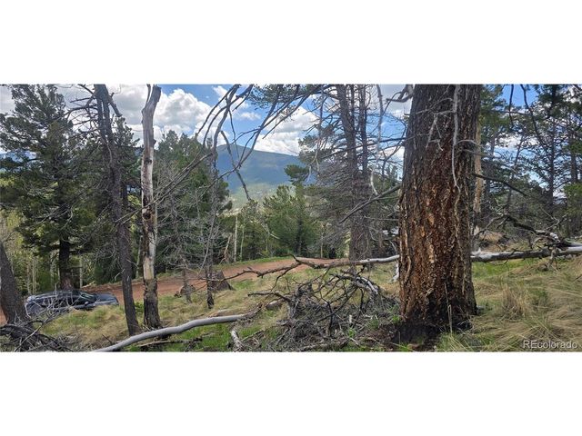 2732 Grojean Dr, Fort Garland, CO 81133