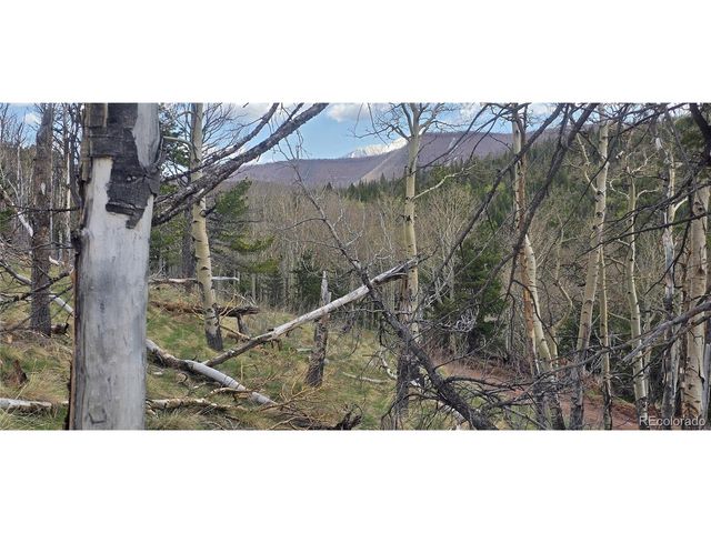 2732 Grojean Dr, Fort Garland, CO 81133