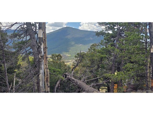 2732 Grojean Dr, Fort Garland, CO 81133