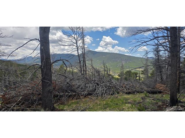 2732 Grojean Dr, Fort Garland, CO 81133