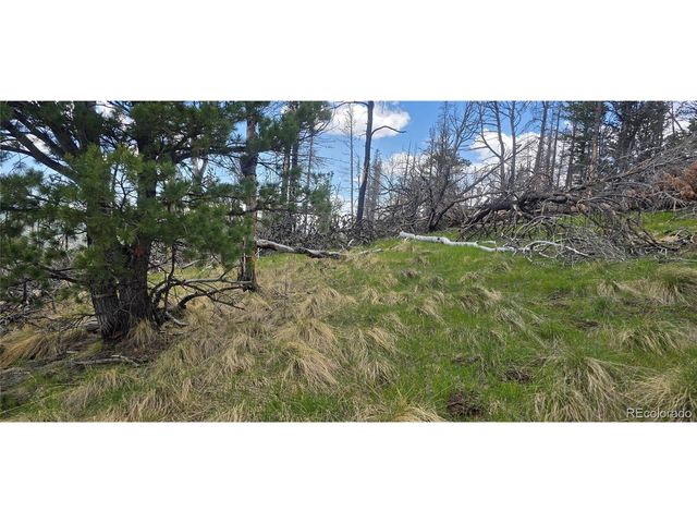 2732 Grojean Dr, Fort Garland, CO 81133