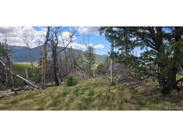 2732 Grojean Dr, Fort Garland, CO 81133