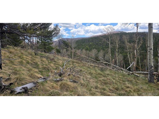 2732 Grojean Dr, Fort Garland, CO 81133