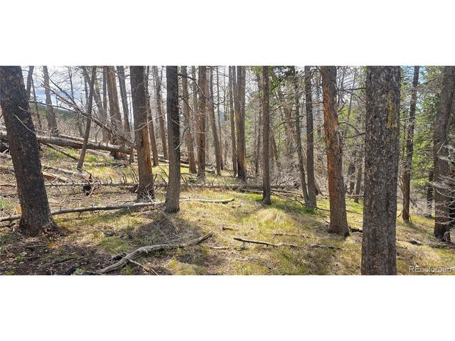 2732 Grojean Dr, Fort Garland, CO 81133