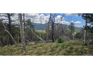 2732 Grojean Dr, Fort Garland, CO 81133