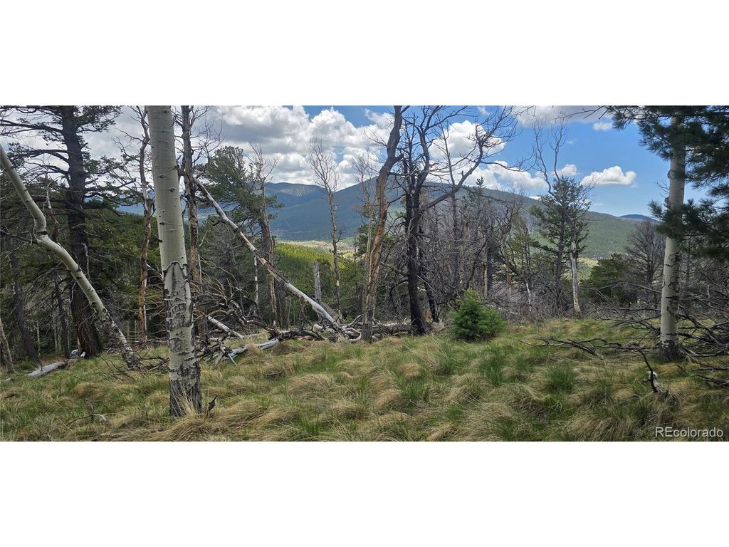 2732 Grojean Dr, Fort Garland, CO 81133