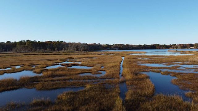 17 Angus Avenue, South Yarmouth, MA 02664